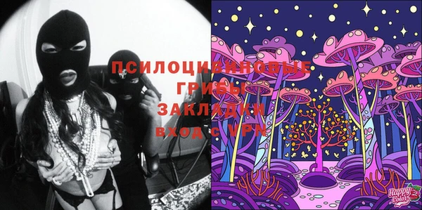 спиды Елабуга