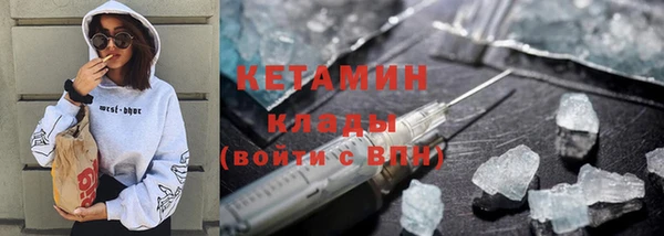 гидра Елизово