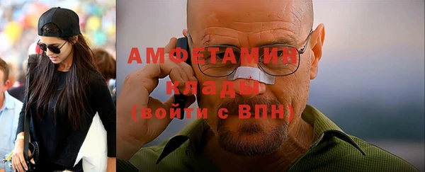 гидра Елизово