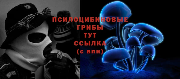 2c-b Ельня
