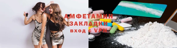 гидра Елизово
