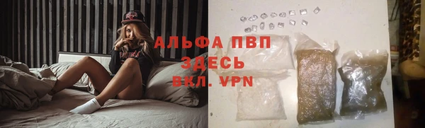 2c-b Ельня