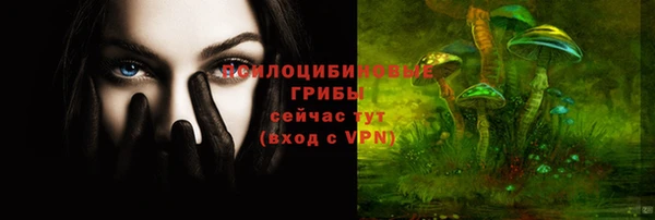 2c-b Ельня