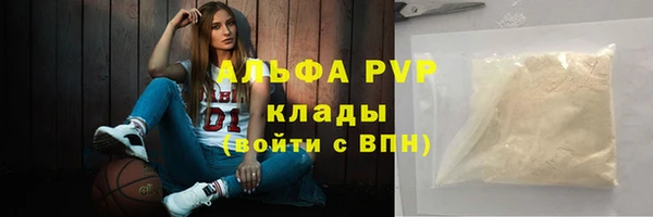 гидра Елизово
