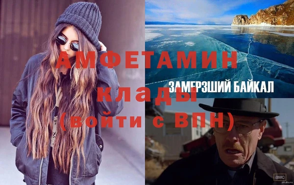 гидра Елизово