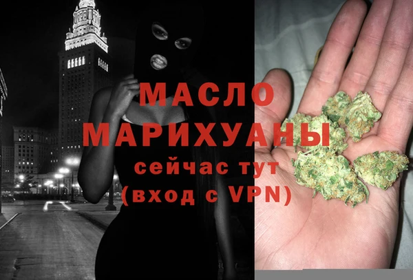 2c-b Ельня
