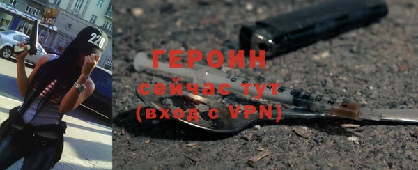 гидра Елизово