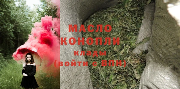 2c-b Ельня