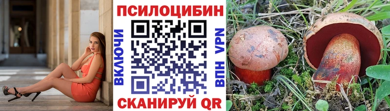 Купить закладки  Домодедово  Галлюциногенные грибы Cubensis 